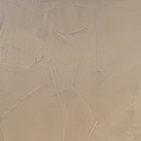 TRIPPLE TAUPE