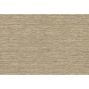 Leopard Walk Jomon 15308