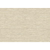 Leopard Walk Jomon 15309