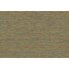 Leopard Walk Jomon 15312