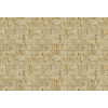 Leopard Walk Suber 15326