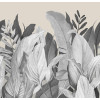 Caribbean Panoramique Tropical Forest 27200
