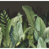 Caribbean Panoramique Tropical Forest 27202