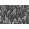 Caribbean Samoa 27208