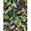 Caribbean Kiribati 27224