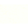Caribbean Plain 27251