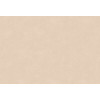Caribbean Plain 27252