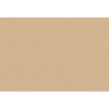 Caribbean Plain 27258