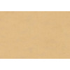 Caribbean Plain 27259