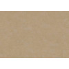 Caribbean Plain 27260