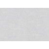 Caribbean Plain 27266