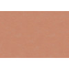 Caribbean Plain 27270