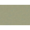Caribbean Plain 27275