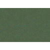 Caribbean Plain 27276