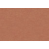 Caribbean Plain 27283