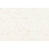 Caribbean Plain 27285