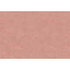Caribbean Plain 27288