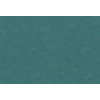 Caribbean Plain 27290