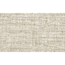 Textura Aspero 40545A Mushroom