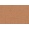 Terra Cotta Print 3 42118
