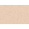 Terra Cotta Plain 1 42124