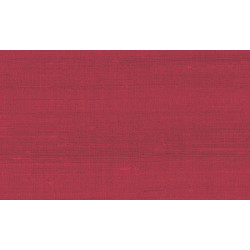Paleo Latus 50502