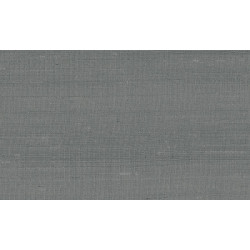 Paleo Latus 50504