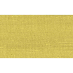 Paleo Latus 50507