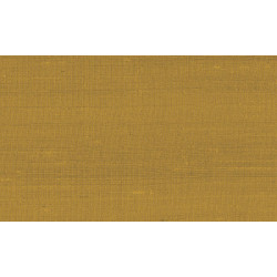 Paleo Latus 50509