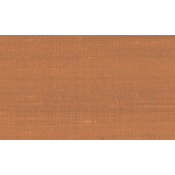 Paleo Latus 50514