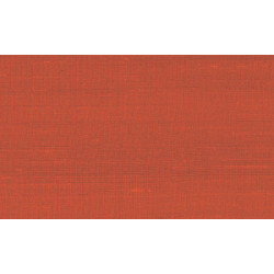 Paleo Latus 50517