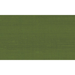 Paleo Latus 50519
