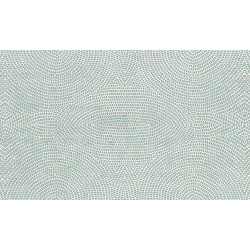 Paleo Strata 50570