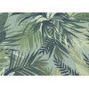Lemuria Banano 60612