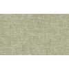 Essentials - Les Nuances Chanderi 91511 Pistachio
