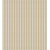 Allures Galon 29220 Ginseng Beige