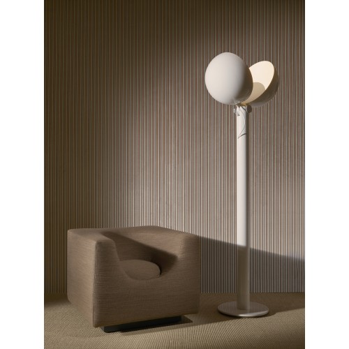 Allures Galon 29220 Ginseng Beige