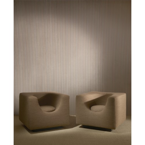 Allures Galon 29220 Ginseng Beige