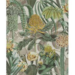 Birds of Paradise The Botanist BOP601