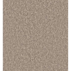 Casca Motion CAS31
