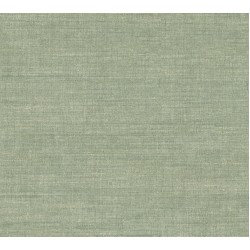 Indienne Bundi 18364 Mint