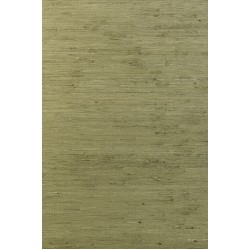 Osmanthus Kudzu 54530 Olive