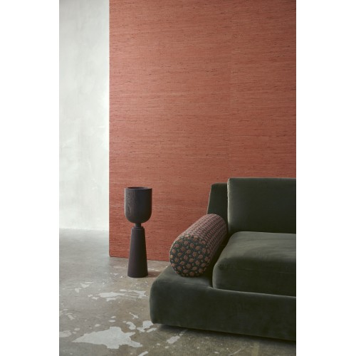 Osmanthus Kudzu 54530 Olive