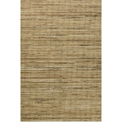 Osmanthus Sambe 54554 Natural Ochre