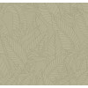 Tali Strelitzia 60740 Olive