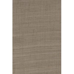 Wild Silk Ghicha Silk 86545 Taupe