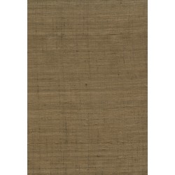 Wild Silk Ghicha Silk 86547 Cinnamon