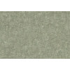 Ginkgo Bark 21962