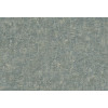 Ginkgo Bark 21965