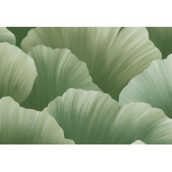 Ginkgo Ginkgo 21902